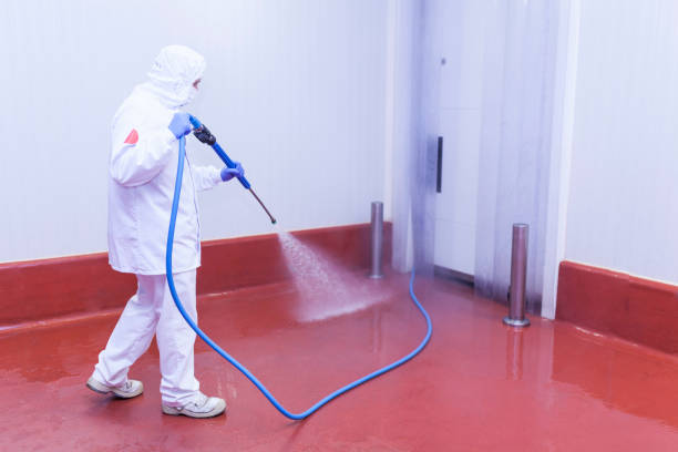Best Soft Washing  in Brigantine, NJ